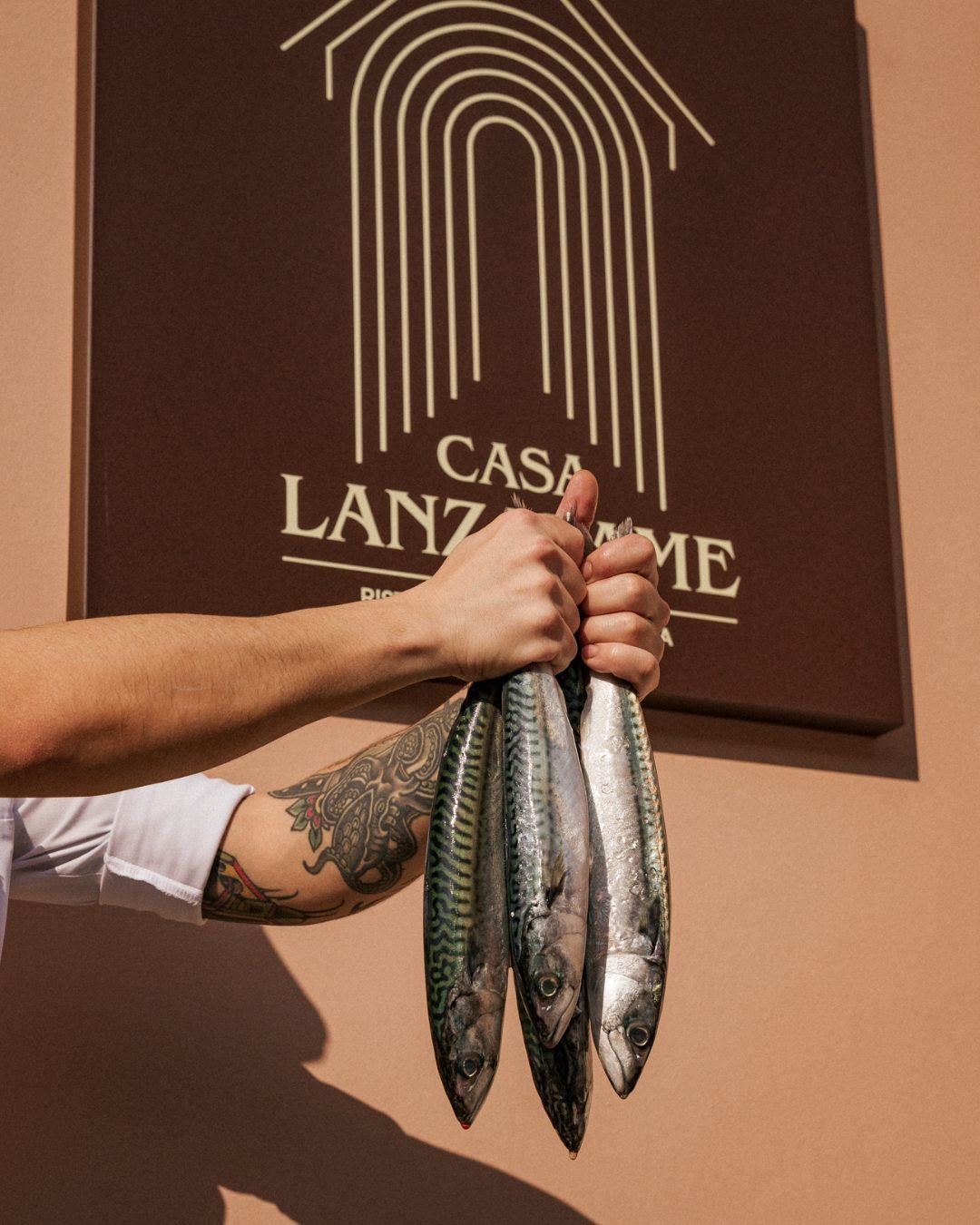Le mani di uno chef tengono tre sgombri davanti all'insegna