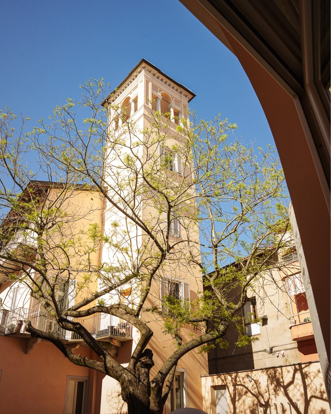 La torre vista da sotto un arco, con i rami di un albero