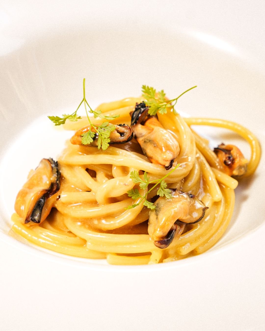 Spaghettoni con cozze ed erbe fresche